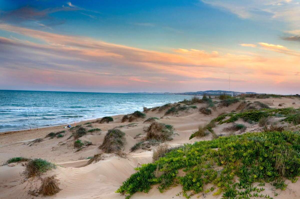 Learning Spanish in Elche, Alicante (Spain)